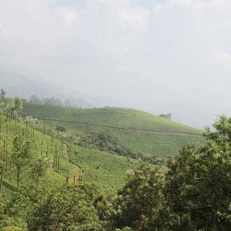 Sky Blue Holiday Home, Munnar 2
